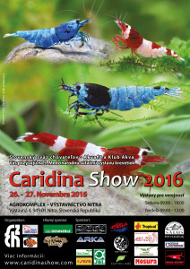 Slovak Caridina Show 2016-sk